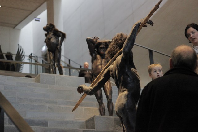 Wax figures of ancient human ancestors based on fossil records