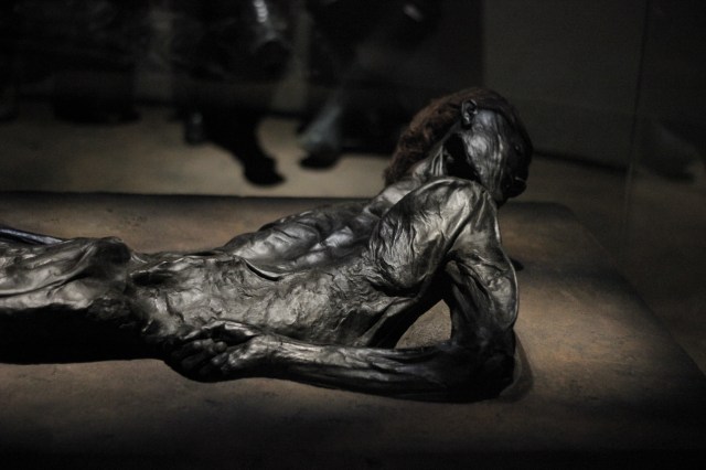 I'd seen pictures of this mummy in books before, but had no idea he was found in Jutland. He is so well preserved, they even know what his last meal was (seeds and grains) and you can see the wrinkles in the skin on his hands and feet. The sulfuric acid in peat bogs made it so bacteria can't survive and prevents the decomposition process, which is why he looks so good for 2,000. The acid has essentially turned him to leather, a process I don't understand very well but the word "tannins" is involved. Before he was chucked into the bog he had his throat brutally slit, which is why they think he's an offering to the gods.