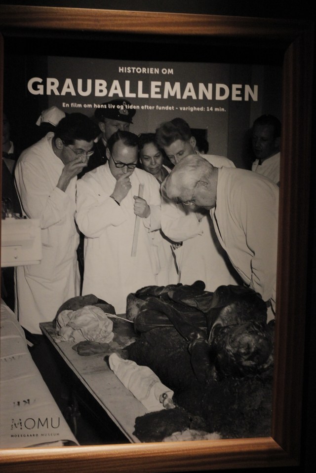 He caused quite a sensation when he was found in the 1950s! One of the museum curators at the time was great at PR and made Grauballe Man an international sensation.